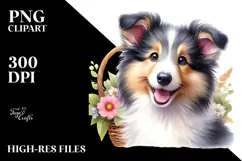 Adorable Collie, Transparent PNG Product Image 2
