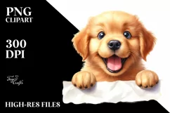 Crazy Looking Baby Golden Retriever | Clipart Product Image 1