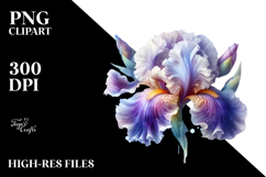 Iris Splash PNG Product Image 2