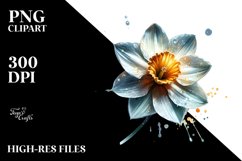 Shiny Glossy Narcissus | Clipart Product Image 1