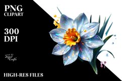 Shiny Glossy Narcissus | Clipart Product Image 3