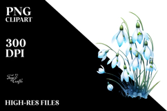 Snowdrop Splash PNG Product Image 2