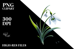 Snowdrop Splash PNG Product Image 2