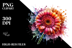 Gerbera Splash PNG Product Image 2