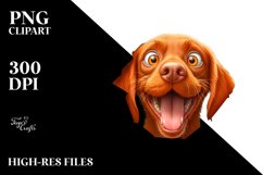 Crazy Vizsla | Sublimation | Clipart Product Image 3