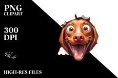 Crazy Vizsla | Sublimation | Clipart Product Image 3