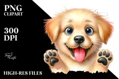 Happy Labrador Retriever Crazy Fur PNG Product Image 2