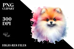 Watercolor Cute Vibrant Pomeranian Clipart Product Image 3