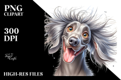 Cute Weimaraner Portrait, Transparent PNG Product Image 2