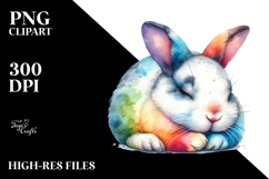 Sleeping Rabbit | Clipart Product Image 2