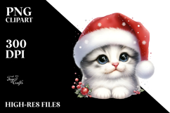 Cute Baby Cat with Big Eyes and Santa Hat PNG Product Image 2