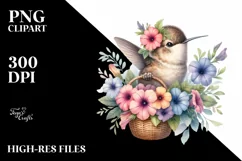 Watercolor Boho Baby Hummingbird Clipart Product Image 3