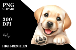 Baby Labrador Retriever PNG Product Image 2