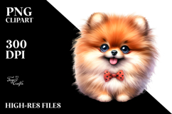 Cute Pomeranian with Big Eyes PNG Product Image 2
