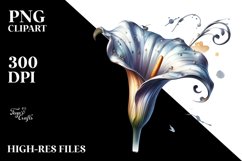 Shiny Calla Lily | Clipart Product Image 3