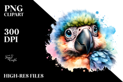 Cute Baby Macaw PNG Product Image 2