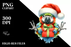 Cute Baby Macaw with Santa Hat PNG Product Image 1