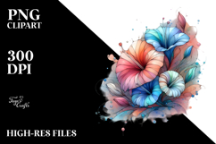 y Morning Glory, Transparent PNG Product Image 2