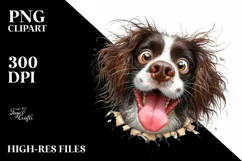 Funny English Springer Spaniel | Sublimation | Clipart Product Image 1