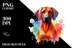 Cute Colorful Rhodesian Ridgeback Watercolor Clipart Product Image 1