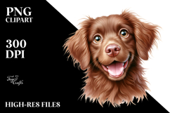 Cute Crazy Boxer with Big Eyes Product Image 2