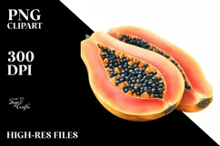 Vibrant Watercolor Papaya | Clipart Product Image 1