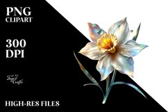 Glossy Narcissus | Clipart Product Image 1