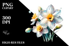 Glossy Narcissus | Clipart Product Image 3