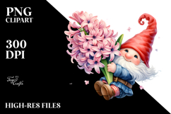 Floating Gnome with Hyacinth PNG Product Image 2