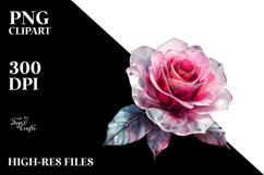 Rose, Transparent PNG Product Image 2