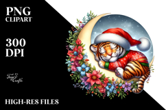 Sleeping Baby Tiger on Moon | Clipart Product Image 2