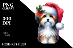 Cute Santa Hat Havanese, Transparent PNG Product Image 2