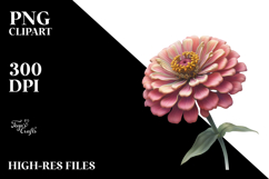 Zinnia with Gold PNG Product Image 2
