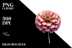 Zinnia with Gold PNG Product Image 2
