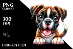 Happy Boxer with Big Eyes Product Image 2
