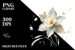 Golden Daffodil PNG Product Image 2