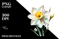 Golden Daffodil PNG Product Image 2