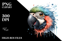Cute Parrot Portrait, Transparent PNG Product Image 2