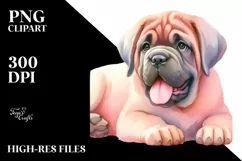 Cute Pastel Mastiff Watercolor Clipart Product Image 3