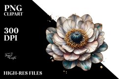 Detailed Stained Anemone | Clipart Product Image 1
