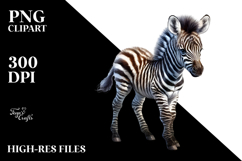 Baby Zebra with Big Eyes, PNG Product Image 2