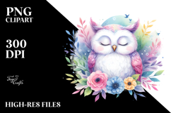 Colorful Sleeping Owl Clipart Product Image 2