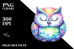 Colorful Sleeping Owl Clipart Product Image 2