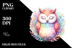 Colorful Sleeping Owl Clipart Product Image 2