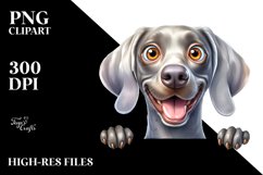 Crazy Looking Weimaraner | Sublimation | Clipart Product Image 3