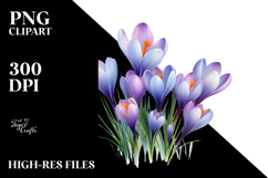 Crocus with Watercolor PNG Product Image 2