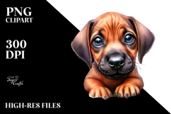 Happy Baby Rhodesian Ridgeback, Transparent PNG Product Image 2