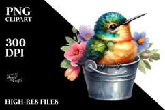 Baby Hummingbird in a Bucket | Clipart Product Image 2