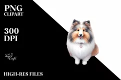 Pastel Watercolor Shetland Sheepdog Clipart Product Image 3