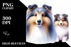 Fluffy Watercolor Shetland Sheepdog Clipart Product Image 1